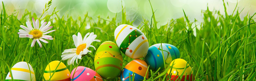 Die Stiftung Kinder- und Jugendhilfe wünscht Frohe Ostern